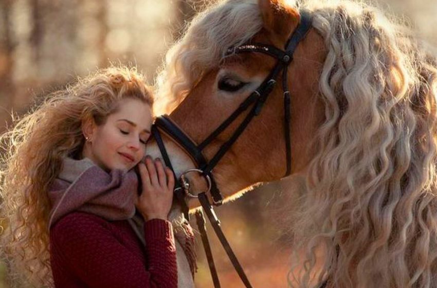  Like twins: a very beautiful horse and her owner charmed the Network