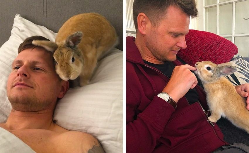  The Briton did not like animals until he found a fluffy and eared exception. Now they’re bros