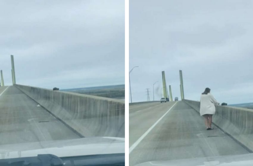  Lady Spots Somebody Little On The Edge Of A Bridge And Springs Into Activity