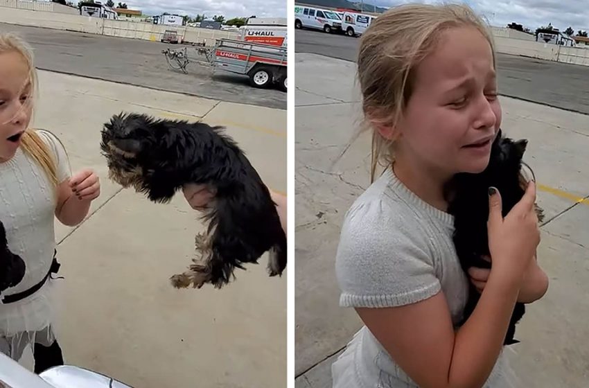  When Her Guardians Shock Her With A Puppy She Can’t Offer assistance But Cry