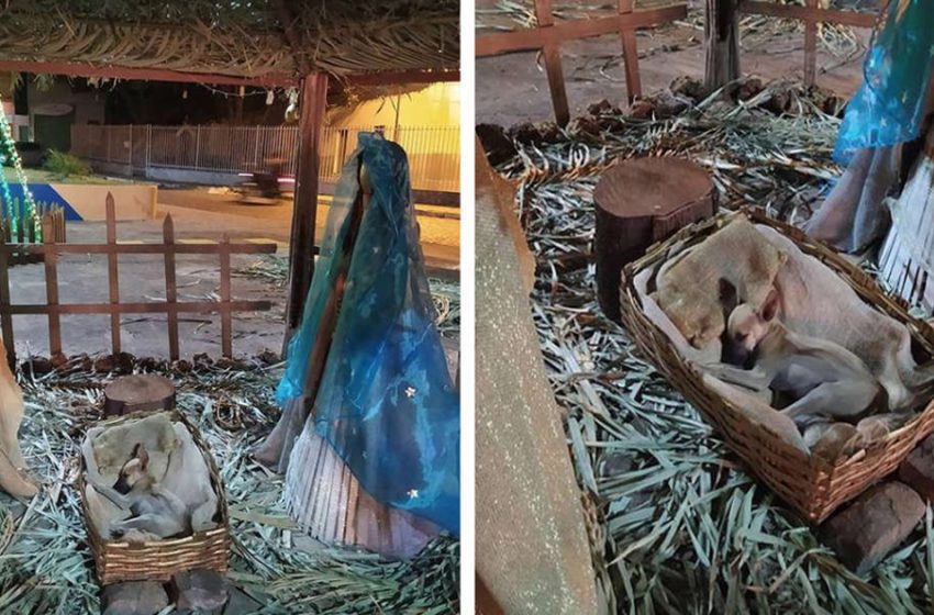  Lady Passing By Nativity Scene Takes note Somebody Resting Within The Trough