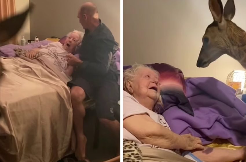 A very ill woman gets her final wish fulfilled