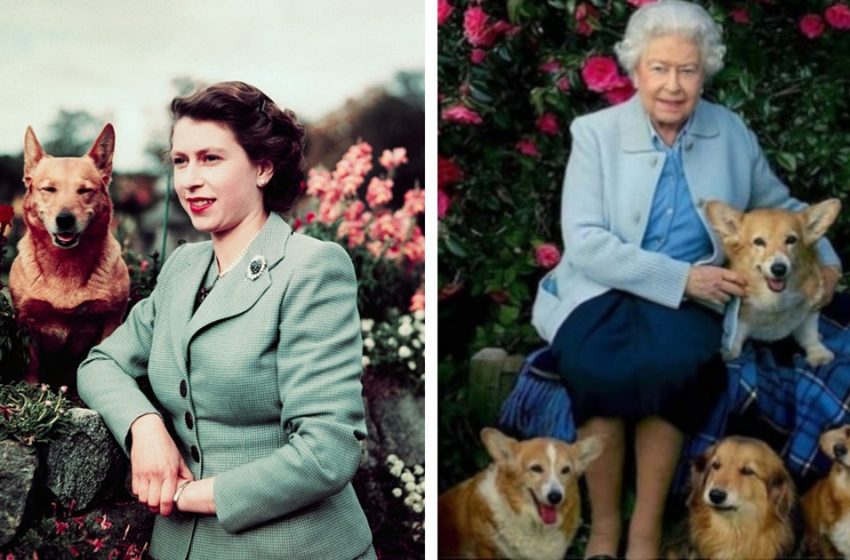  Queen Elizabeth II leaving behind not only the country, but also her devoted pets!