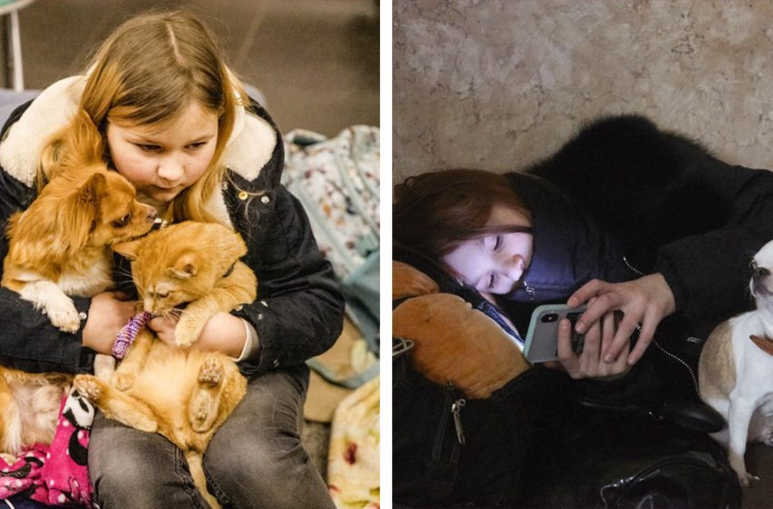  Friends are not abandoned! How Ukrainians save their pets in wartime