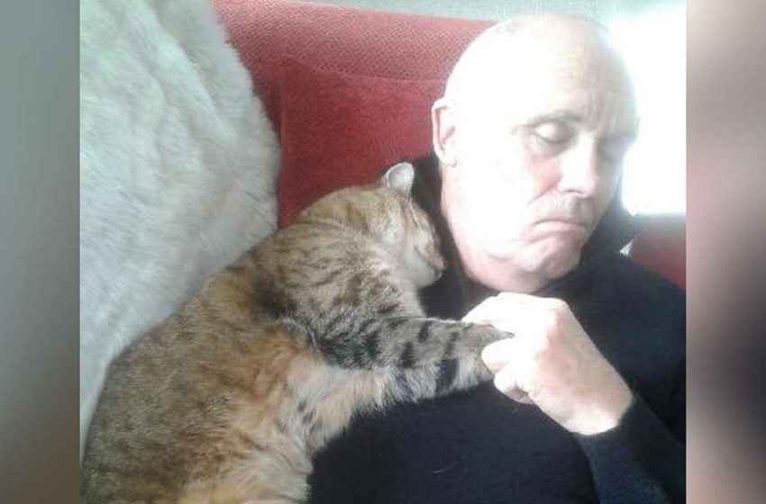  A recovering patient finds a random cat cuddling him as he wakes up after surgery