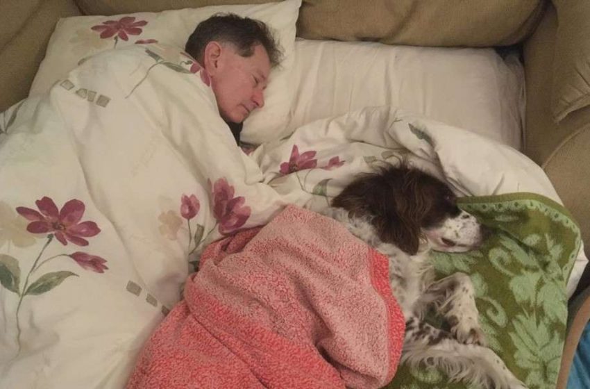  Dad Sleeps On Sofa With Senior Dog To Keep Him Company