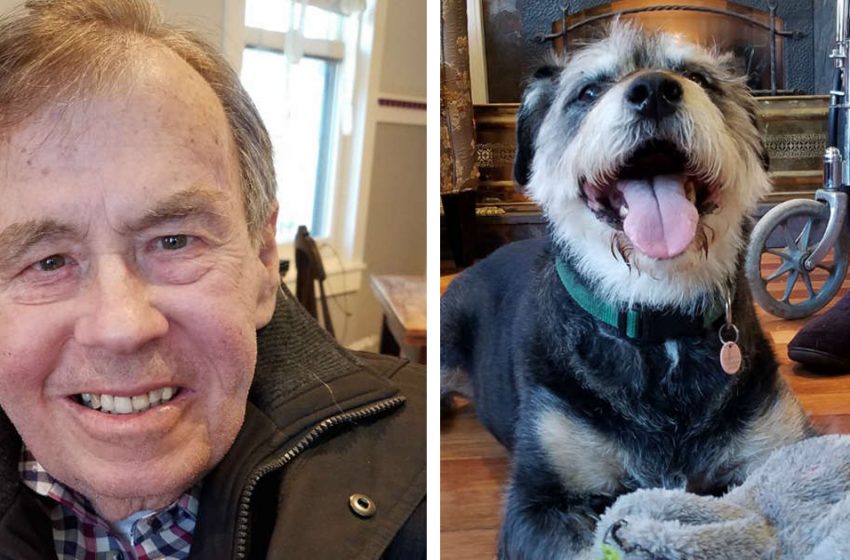  A dying man’s final wish to see his beloved dog was just fulfilled