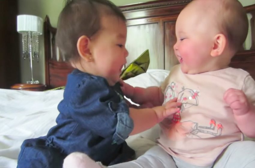  The most touching video with twins, how amusingly they entertain each other!