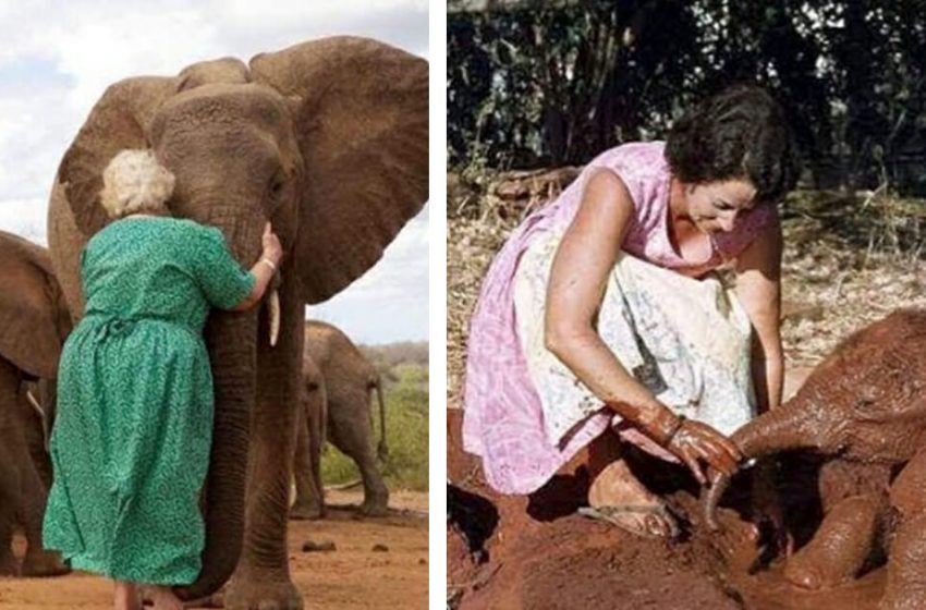  Elephants adored her as she devoted her life to preserving them