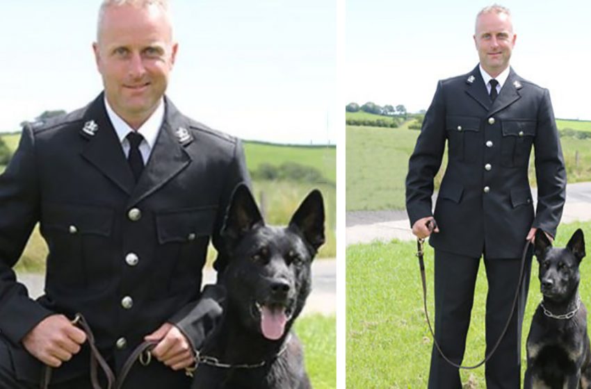  Max’s mother and her little child were located safely and without incident thanks to a courageous, amazing police dog