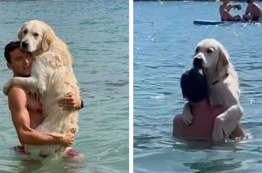  The Cutest Reason Why Dog Insists On Hugging Dad In The Water