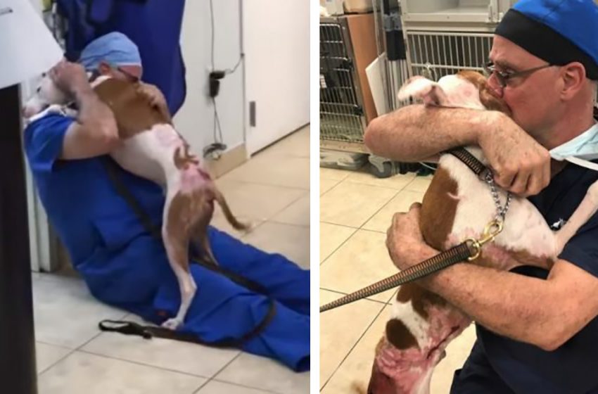  The burned dog gives his rescuing veterinarian a touching embrace to show his immense thanks