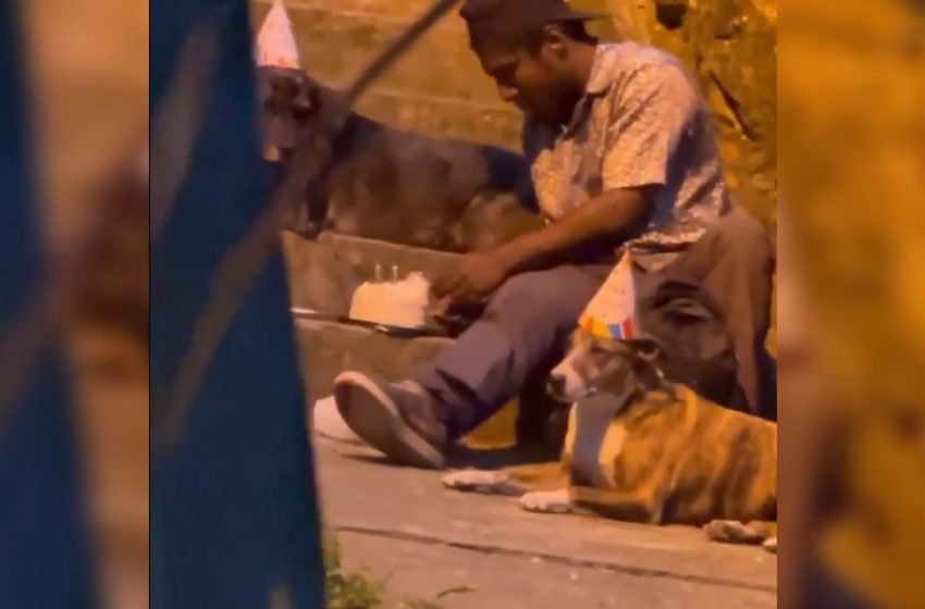  The Homeless Man Who Gave His Last Penny To A Birthday Cake For His Dog