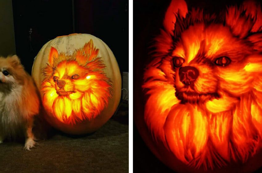  For Halloween, a man spends hours creating a beautiful jack-o-lantern portrait of his dog