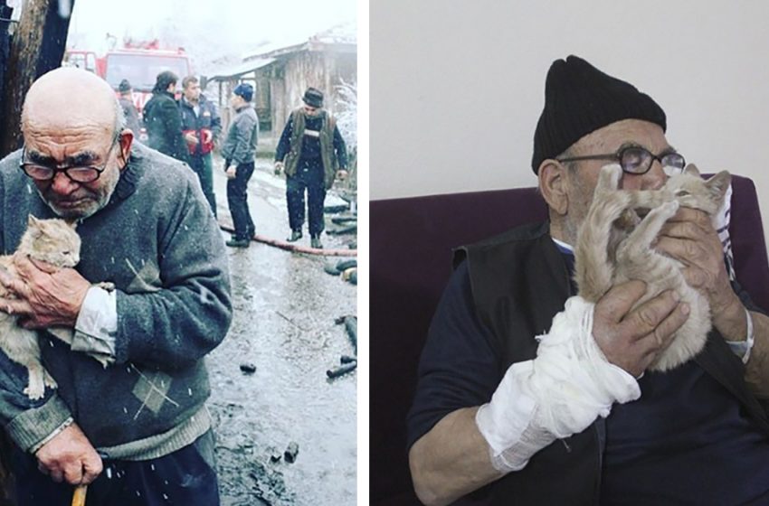  This Grandpa Hugs His Beloved Kitten After Getting a Secure and Cozy Home