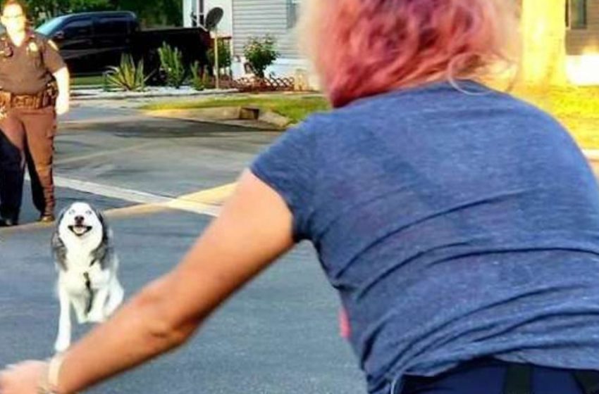  After two years, the heartbroken woman reunites with her stolen puppy