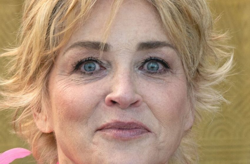  “I lost custody of my son”: Sharon Stone hurt from iconic scene in Basic Instinct