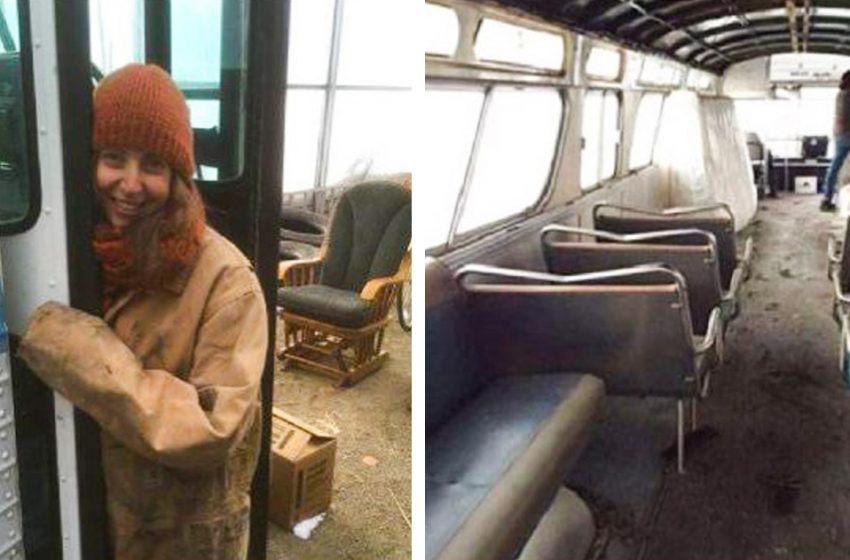  A Woman Turned a 1966 Bus into a Comfortable and Cozy Home on Wheels