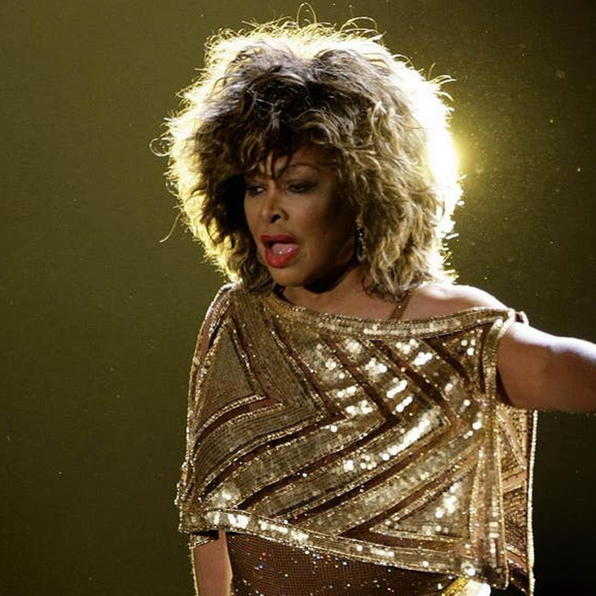 Ihr Vermächtnis wird für immer weiterleben. Fakten über Tina Turner