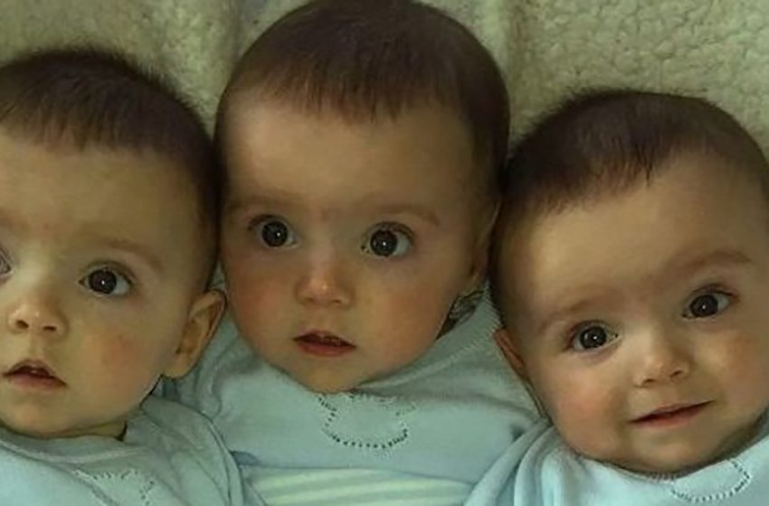  Meet the Identical Triplets, Now Flourishing at Seven Years Old