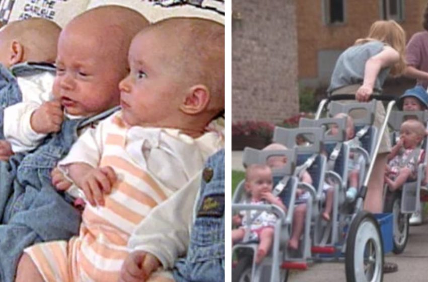  Miracle of the Nineties: The Extraordinary Journey of the McCohugh Septuplets