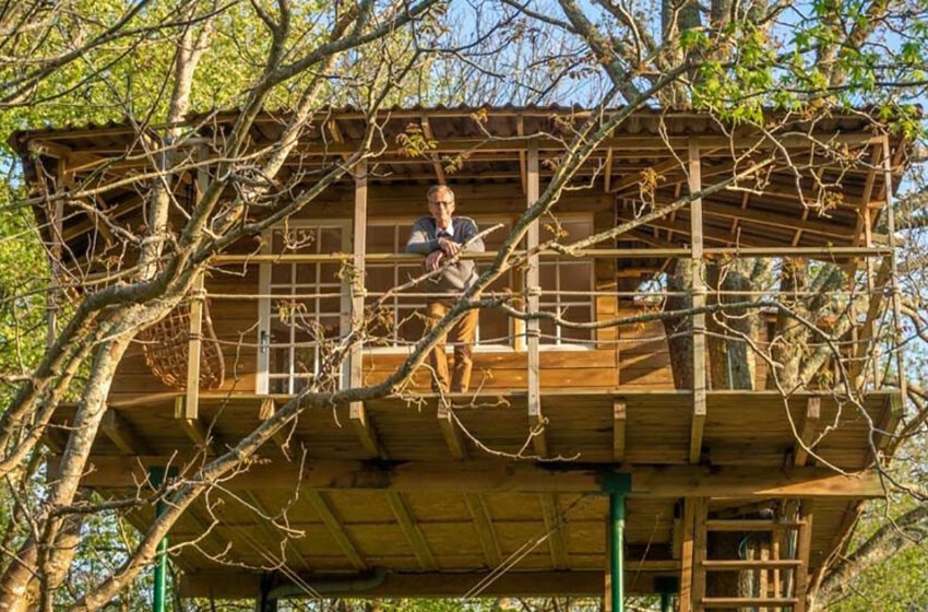  “Is This Treehouse The Best Retirement Project?”: The Man Decided to Fulfill The Dream Of His Life!