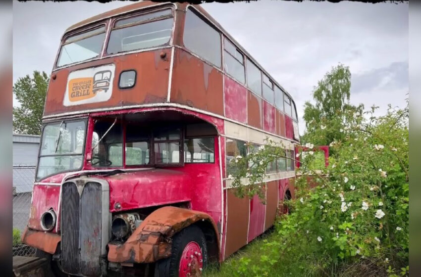  “Looks So Impressive”: A Man Bought an Old Double-decker Bus And Remodeled It Into a Fun Tiny Home!