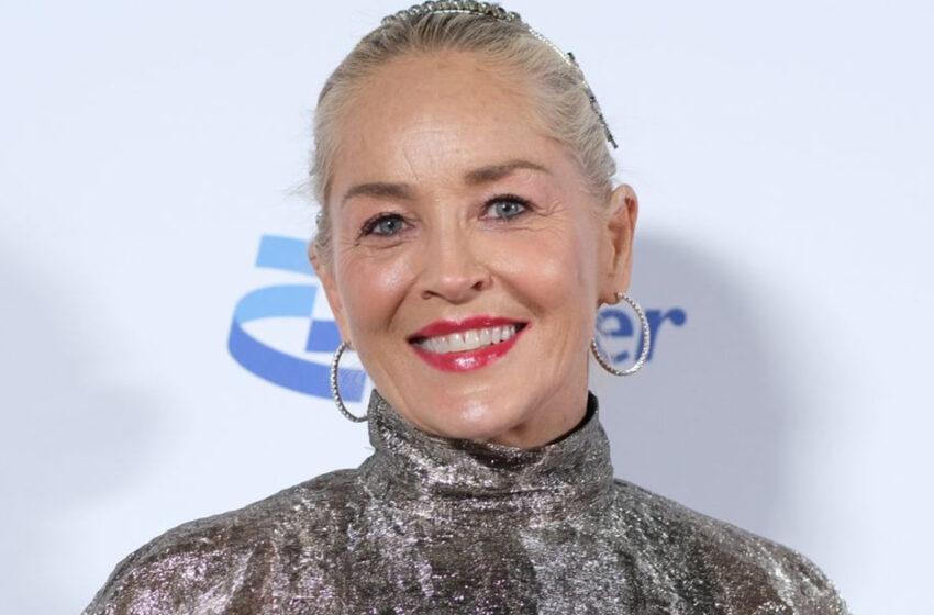  “Totally Gergeous”: Sharon Stone Stuned Everyone in Sparkling Metallic Dress at The Recent Event!