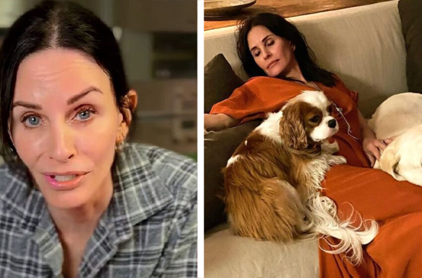  Strange Lifestyle Of Courteney Cox: The Star Prefers To Live In a ‘Modern Barn’ Home With Dogs!
