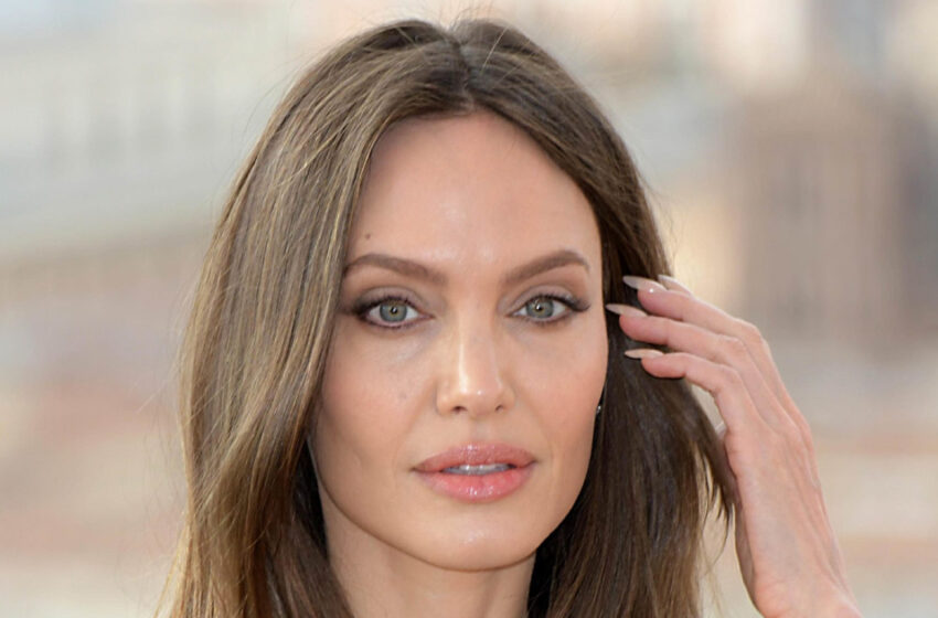  “Brother As a Nanny For Sister’s Children”: Once Angelina Jolie Hired Her Brother As a Nanny For Her 6 Children!