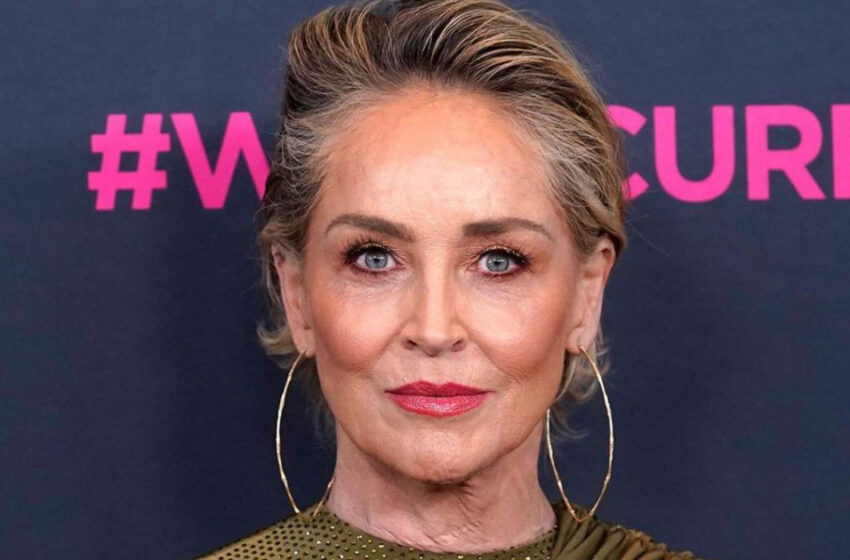  “Fans Coudn’t Miss This Detail”: Why Did 65-year-old Sharon Stone’s Bikini Shots Are On The Top Of Most Being Discussed Topics!