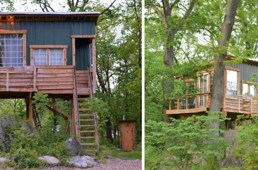  “He May Even Quit His Job And Do Not Work Anymore”: This Guy Rents Out a Tree House in His Backyard And Earns Up To $30,000 a Year!