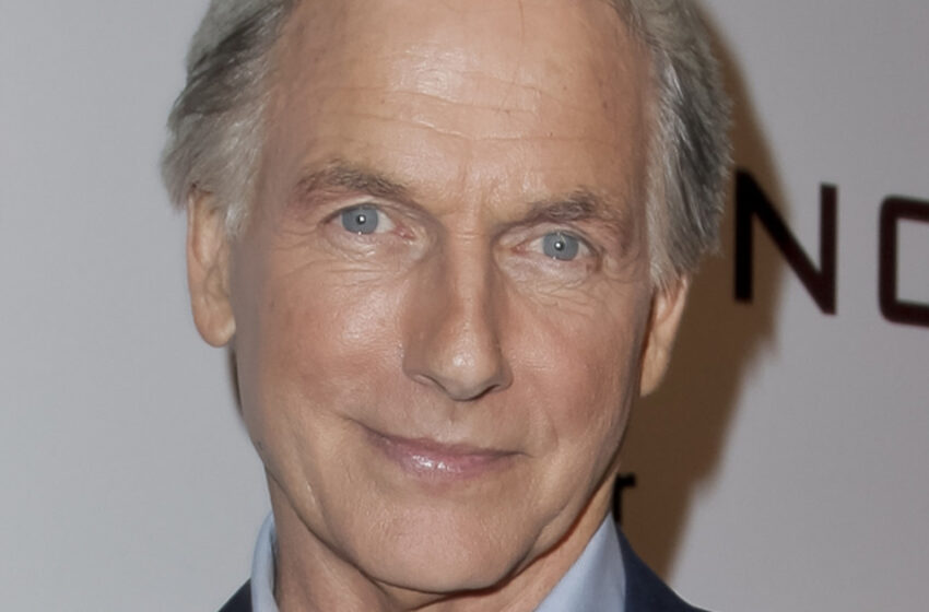  The Star Of ‘NCIS’, Mark Harmon Shared Happy News Of His Son’s Marriage: The Actor’s Son Is His Dad’s Young Version!