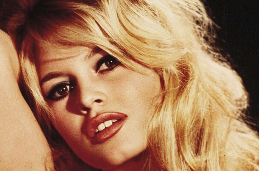  “Actress Had 4 Husbands And More Than 100 Lovers”: Brigitte Bardo Is Already 88 Years Old, What Does She Look Like Now?