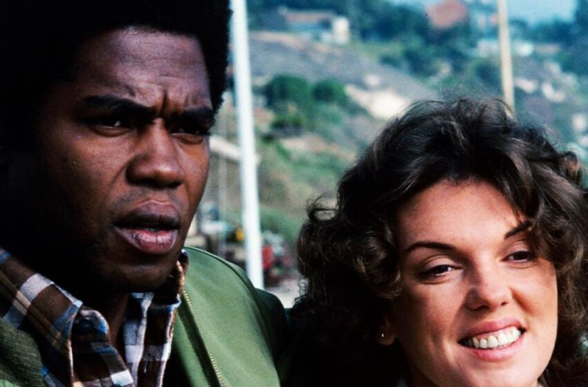  “They Faced Lots Of Racial Backlash”: Though Tyne Daly And Georg Stanford Brown Managed To Make a Family!