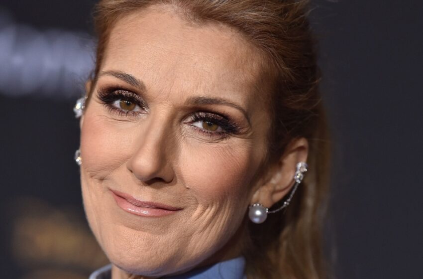  “Has The Star Gained Weight Or Does Her Body Look Just Puffy”: Fans Are Discussing Celine Dion’s Appearance At The Grammys!