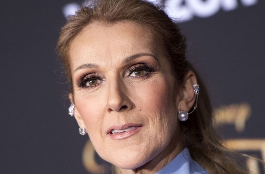  “Every Step Looks Like Torture For The Weakened Star”: Celine Dion Stood On Heels, Despite Her Health Problems!