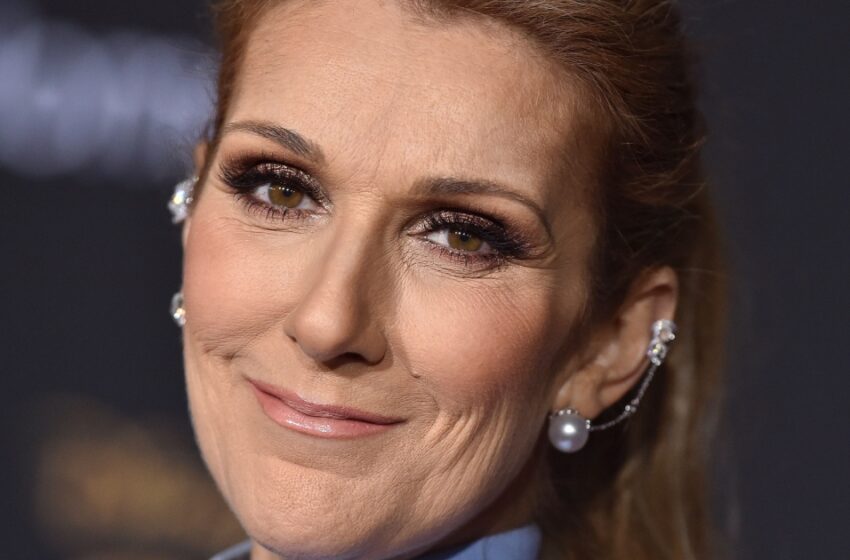  “Rare Family Photo Of The Star”: Terminally Ill Celine Dion Shared New Photos!