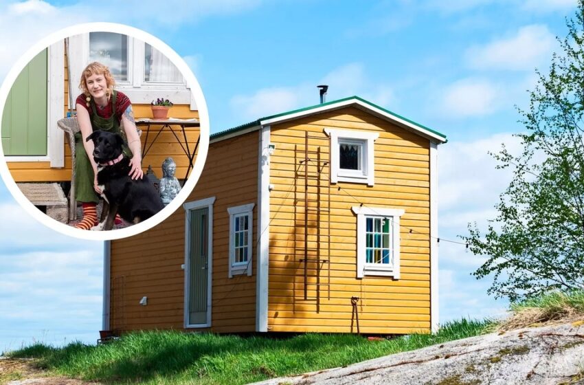  “Calm Life In A Small House With A Dog”: A Woman Showed Off Her Tiny House!