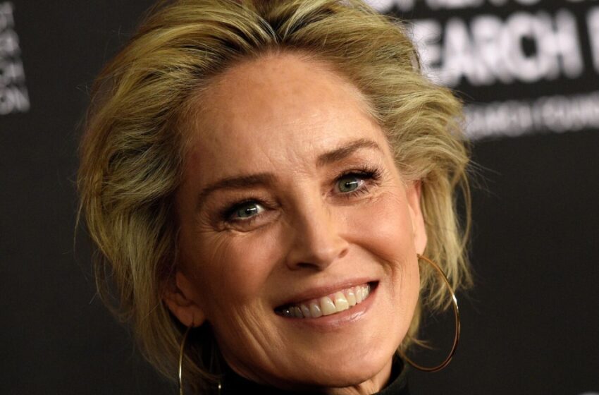  “A Woman Of Her Age Should Be More Modest”: Sharon Stone’s Bold Outfit Caused Lots Of Buzz On The Net!