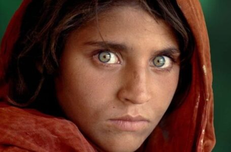The Afghan Girl In The Photo Is Already 50: What Was Her Fate Later?
