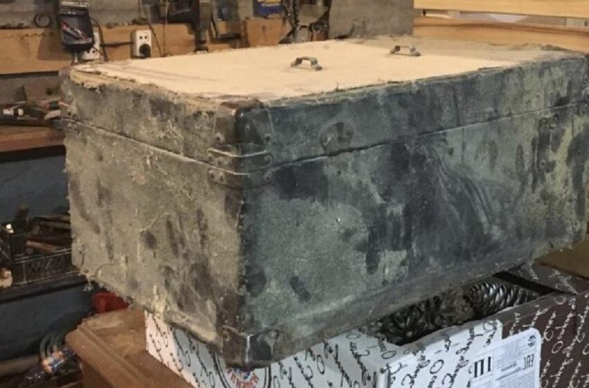  They Laughed At The Woman When She Brought Home This Trash: But Everyone Admired What She Turned This Old Suitcase Into!