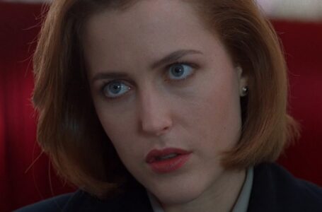 What Happened To Gillian Anderson’s Daughter?: Rare Shots Of “The X-Files” Star’s Adult Daughter!