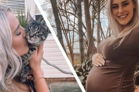 The Cat Was The First To Feel That Her Owner Was Pregnant: Everyone Was Shocked How The Pet Began Preparing For The Birth Of a Baby!