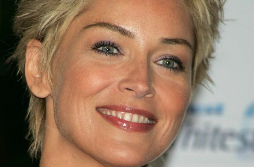  65-Year-Old Sharon Stone In a Spicy Bikini: One Detail Caught Everyone’s Attention!