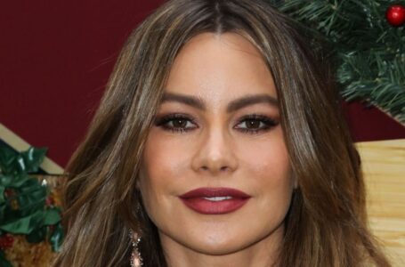 “A New Spicy Thong Photo”: Sofía Vergara Surprised Fans With an Instagram Update!