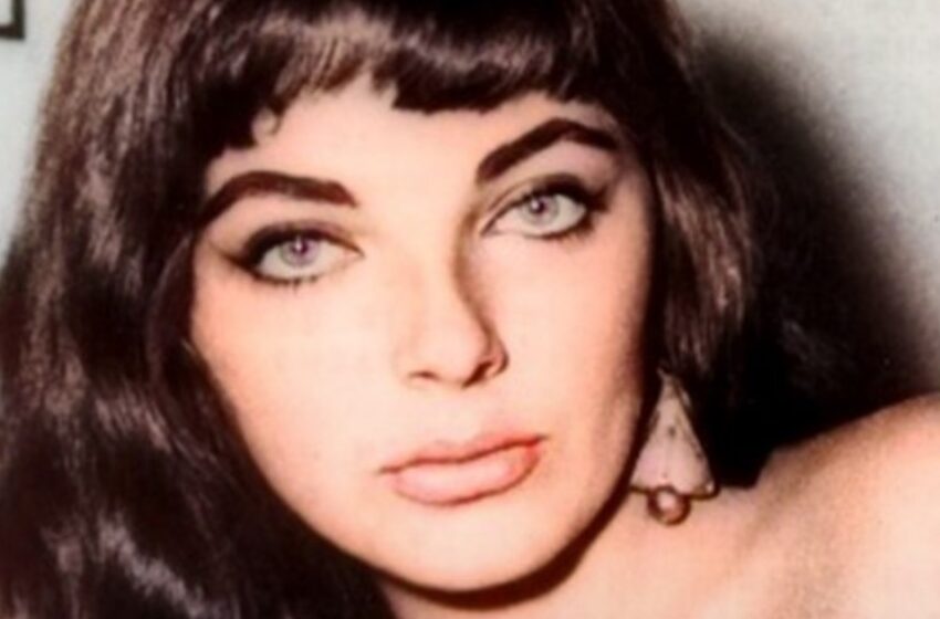  “A Symbol Of Hollywood Glamour Known For Her Striking Green Eyes And Irresistible Charm”: Did You Manage To Guess Who This Stunning Beauty Is?