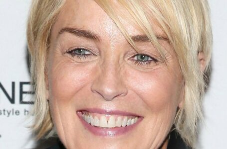 Ji pasielgė taip drąsiai: 66-erių metų Sharon Stone pasidalino nuotrauka su mažyčiu maudymosi kostiumėliu ir be liemenėlės.