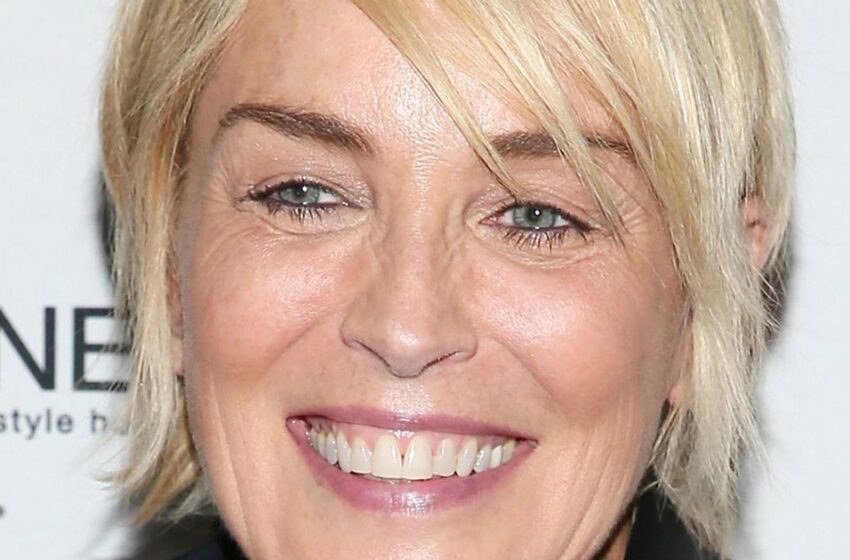  Ji pasielgė taip drąsiai: 66-erių metų Sharon Stone pasidalino nuotrauka su mažyčiu maudymosi kostiumėliu ir be liemenėlės.