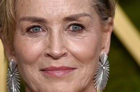 Įsivaikintas Sharon Stone sūnus Roanas, 25 m., nustebino gerbėjus savo identiškumu su mama retame raudonojo kilimo pasirodyme!: Žiūrėkite nuotraukas!